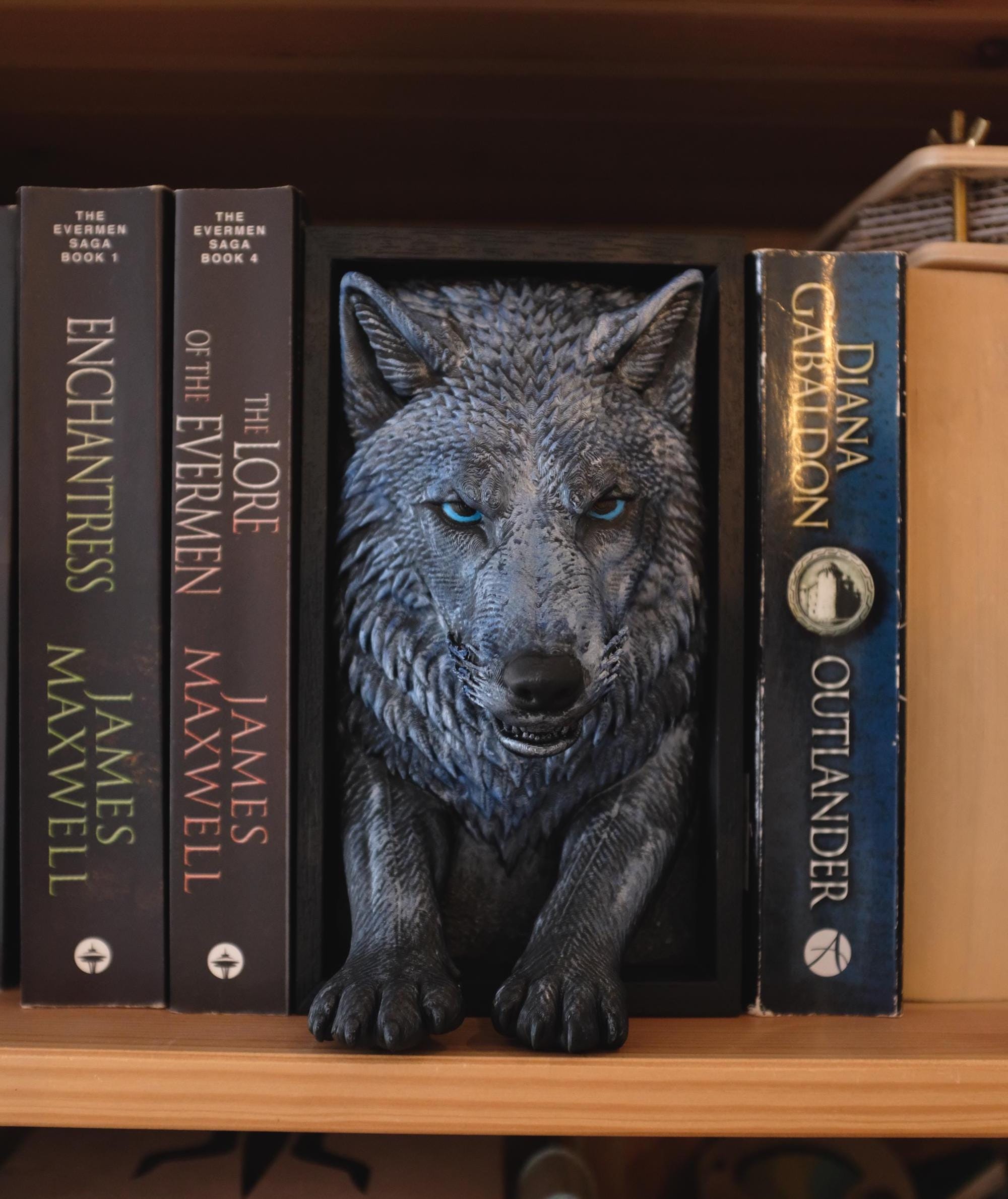 A grey wolf with blue eyes and front paws emerging from a black book nook between books.